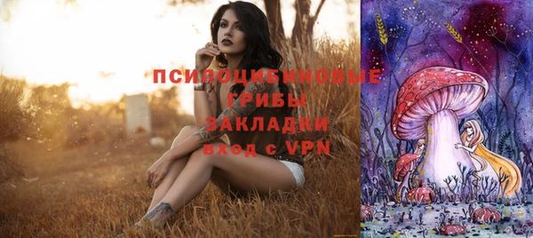 герыч Алексин