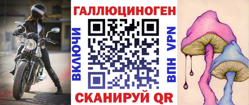 как найти   Сольвычегодск  Псилоцибиновые грибы MAGIC MUSHROOMS 